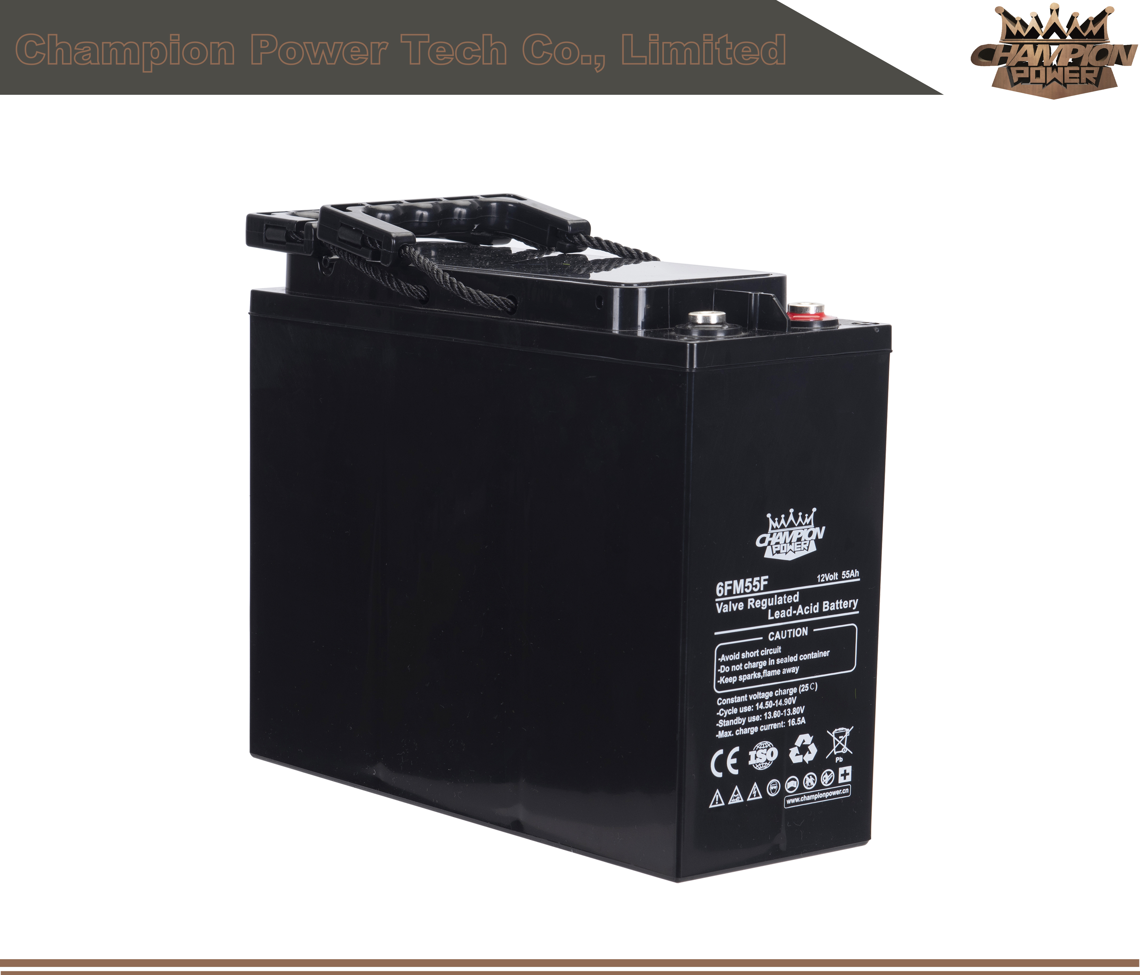 6FM55F 12V55Ah Front Terminal Battery